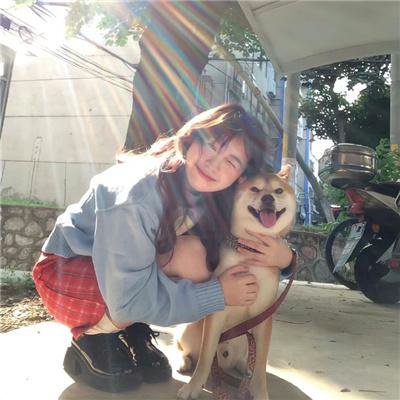 军犬麦斯 2：白宫英雄封面