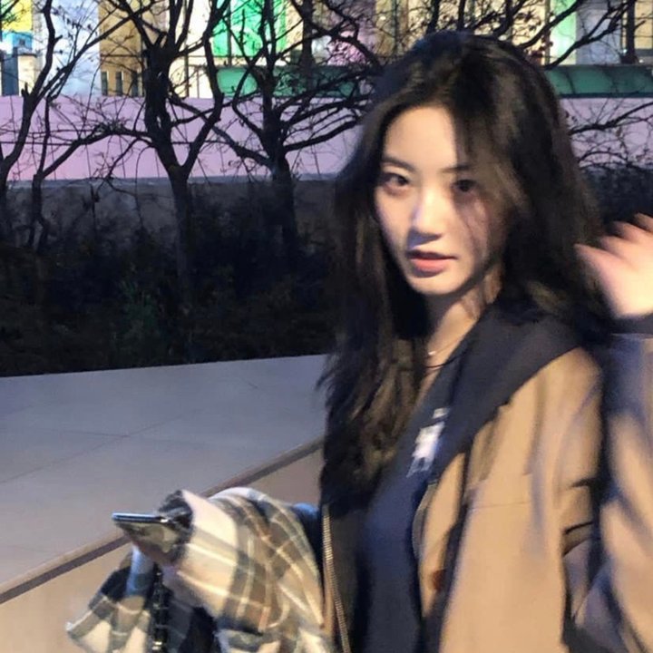 鲻鱼封面